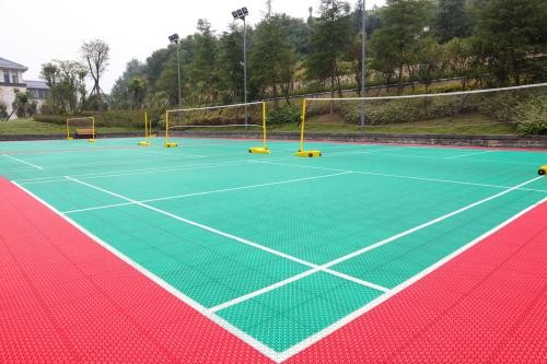 羽毛球場場地面
